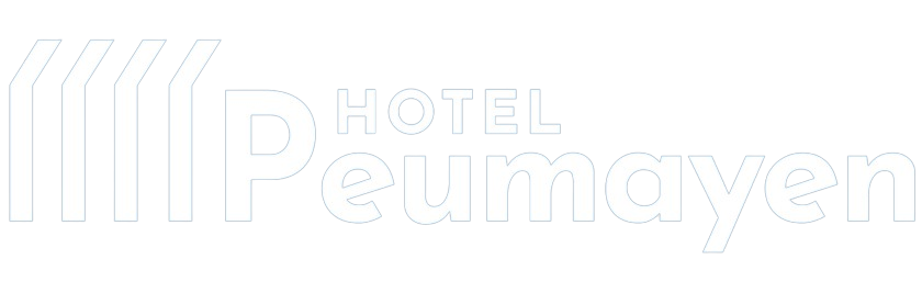 HOTEL PEUMAYEN