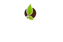 Posada del Bosque by HS