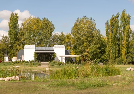 Bodega, imagen 3