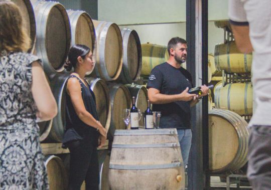 Bodega, imagen 6