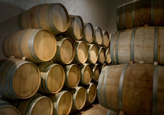 Bodega, imagen 5