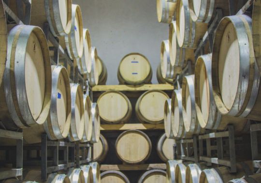 Bodega, imagen 2